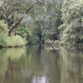 DSC_8781.jpg